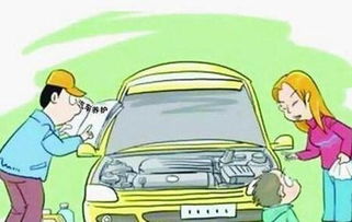 新车保养全攻略 从提车到首保，新手必看专业指南